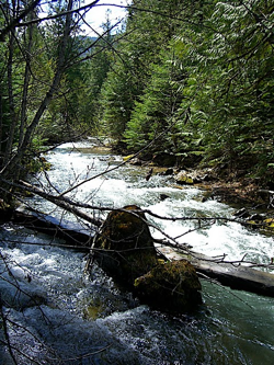 Pilgrim_creek